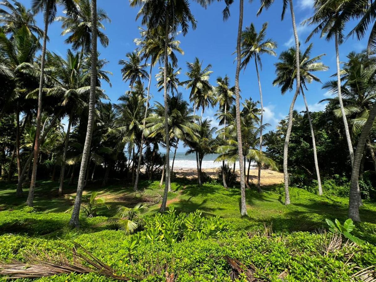 Urban Galle Villa 外观 照片